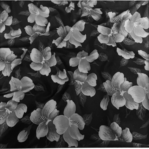 Untitled (Flowers), 1979, Collection of Lela Hersh and Chris Dougherty