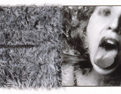 Untitled (My Mind lives in a hot wet hole in my body), 1994 Gelatin silver print, fabric, acrylic, and macaroni 38 x 88 in.