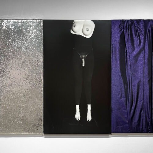 Untitled (I am not who I am), 1991-95 Gelatin silver print, sequin fabric, and lamé 60 x 110 in.