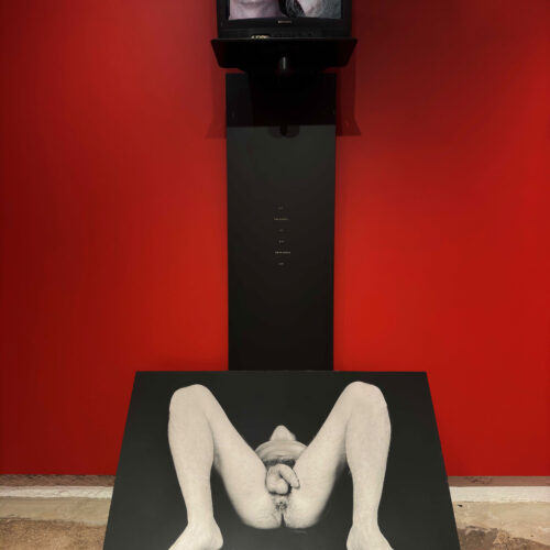 What a woman of 45 knows, 1992 Photo paper on foam core and video 62 x 47